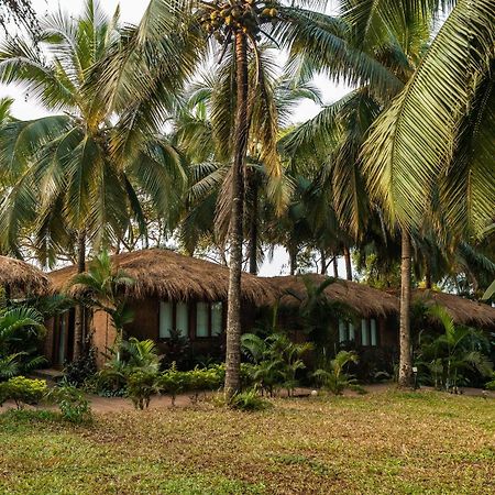 Anahata Retreat Beach Front Ashwem Goa Мандрем Екстер'єр фото