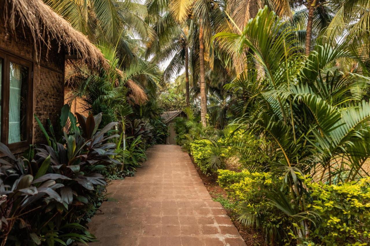 Anahata Retreat Beach Front Ashwem Goa Мандрем Екстер'єр фото