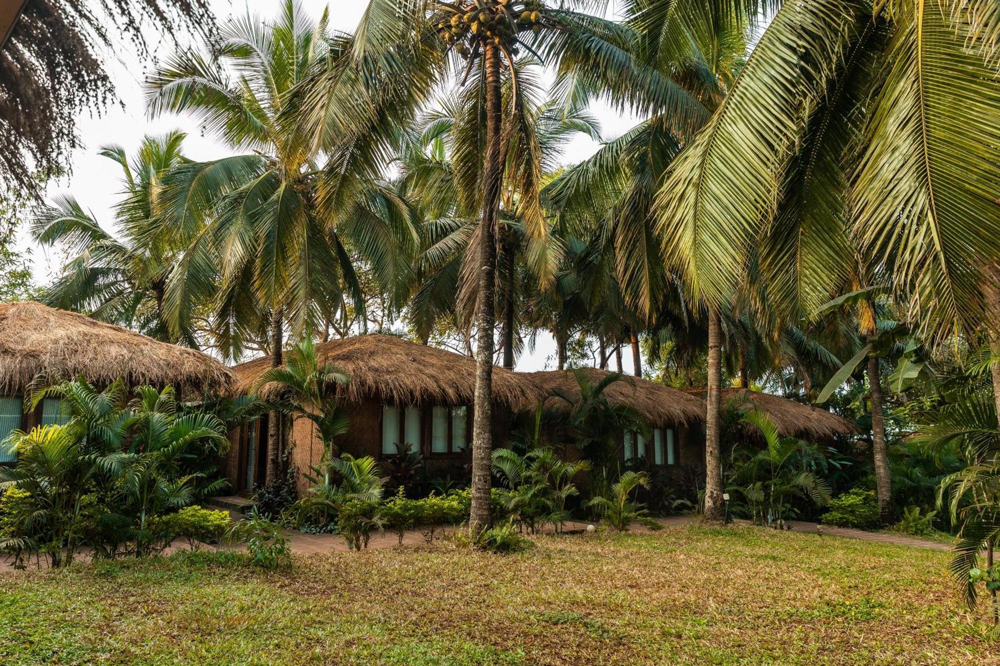 Anahata Retreat Beach Front Ashwem Goa Мандрем Екстер'єр фото