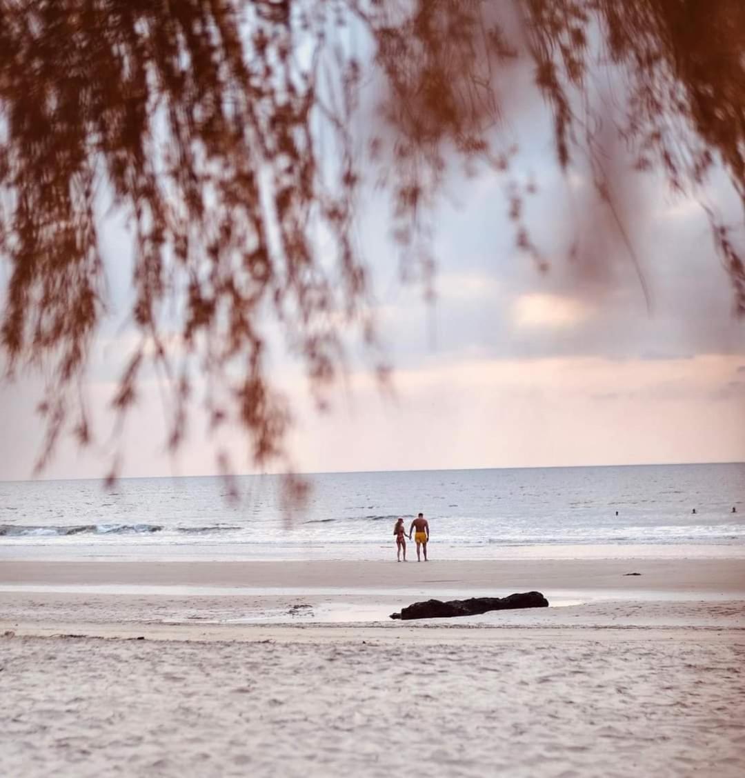 Anahata Retreat Beach Front Ashwem Goa Мандрем Екстер'єр фото